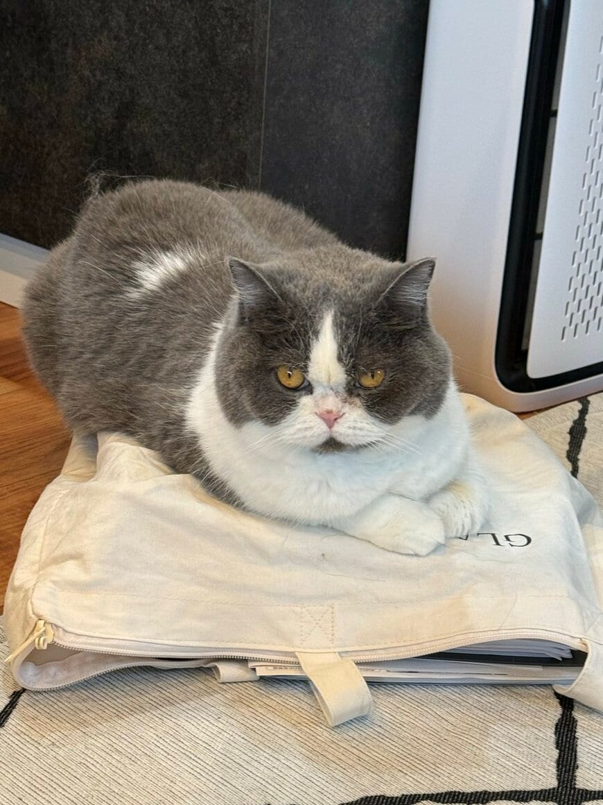 「それ痛くないの？」と聞きたくなるほど家具に寄り掛かる猫　つぶれたお顔に癒やされる