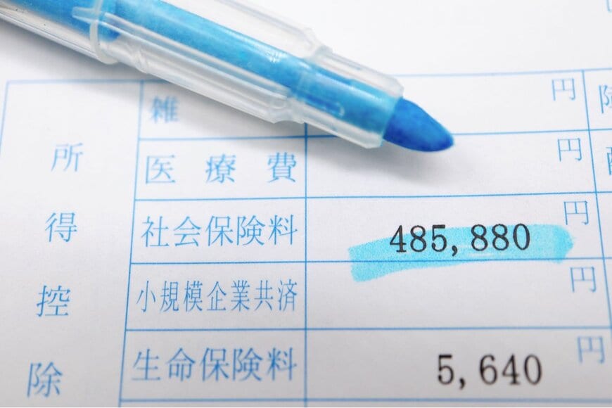 umaruchan4678/shutterstock.com