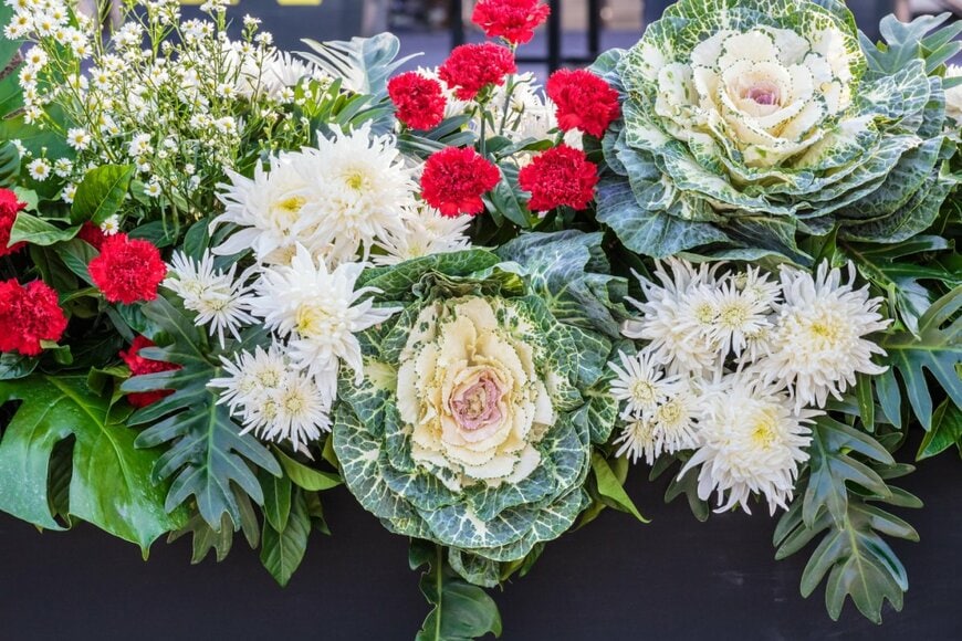 Tooykrub/shutterstock.com