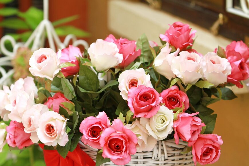 goldenjack/Shutterstock.com