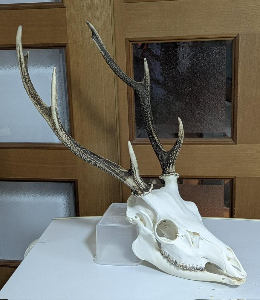 出所：@TakahiroNezuさん提供