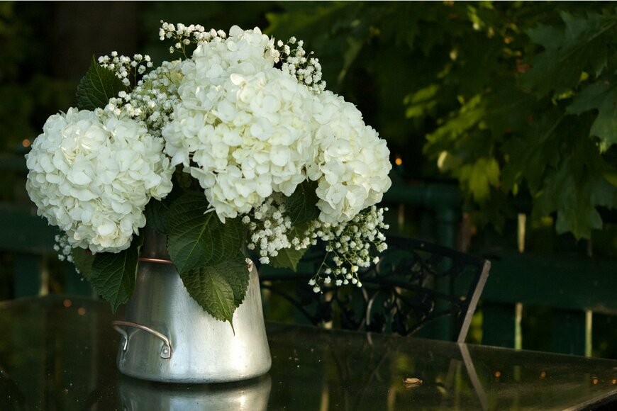 kg11/Shutterstock.com