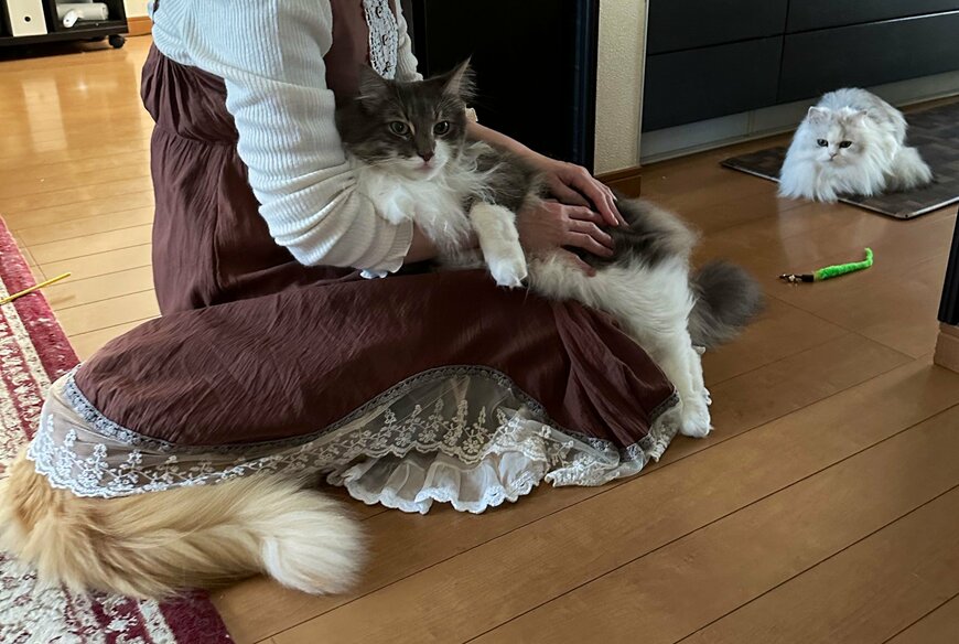 出所：@NEKOLAND13