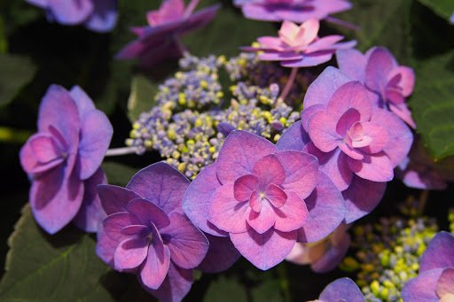 Anna Gratys/shutterstock.com