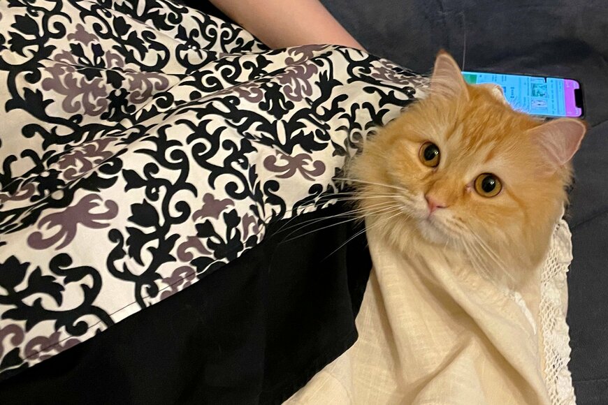 出所：@NEKOLAND13