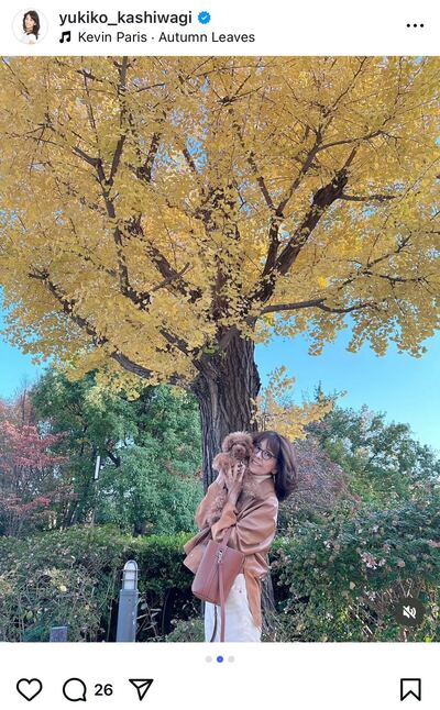 出所：柏木由紀子のInstagram（@yukiko_kashiwagi）参照日：2025年11月19日