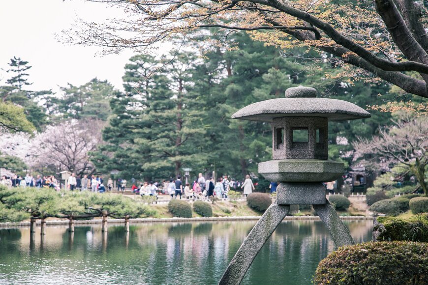 春の兼六園でお花見