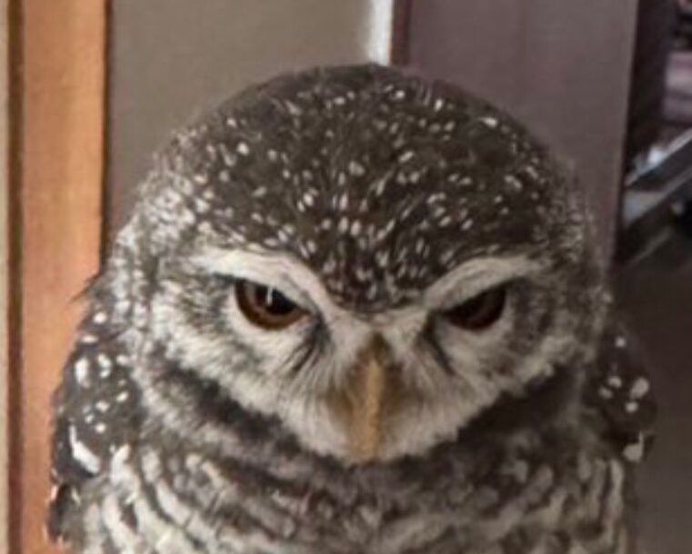 投稿写真のワンシーン