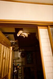 深夜、水を飲みに起きると…思わず叫んだ理由に笑ってしまう