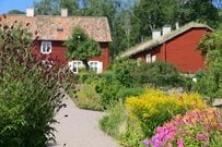 植えっぱなしで叶う【憧れの北欧ガーデン】ナチュラルおしゃれな《多年草・低木》おすすめ5選