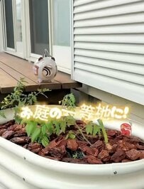 【ビフォーアフター】簡単に作れる《レイズドベッド花壇》たった1時間で庭に「映え空間」が爆誕！？