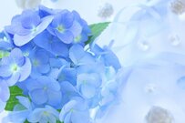 【6月支給分から】年金生活者支援給付金は2.7％増える！対象者は「年金に上乗せ」で2カ月に一度支給