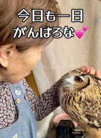 【猛禽を忘れてるカオ】うっとりするフクロウ　大好きなばあちゃんにだけ見せる「にま〜」に思わず二度見！