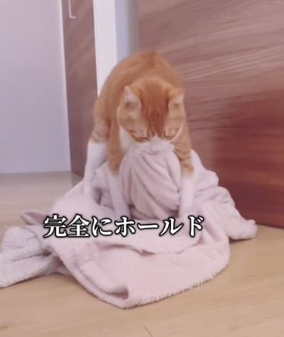 投稿の画像