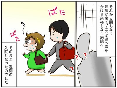 チンチライフ180話