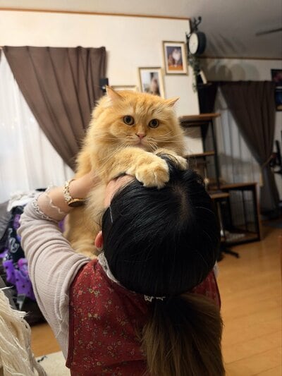 抱え上げられたエマちゃん