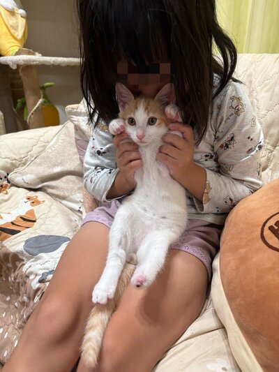 抱きかかえられたみゆくん
