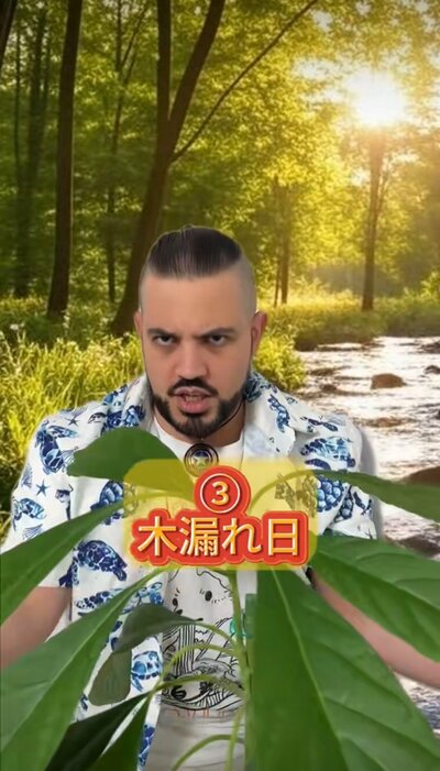 投稿動画のワンシーン