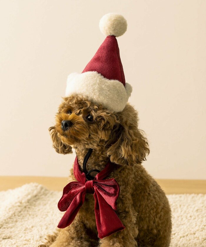 「もっと本格的な仮装を!」という方には「PET用サンタ帽子&リボンセット」