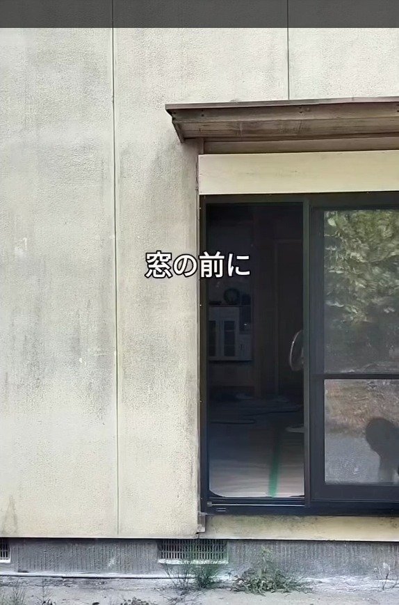 既製ウッドデッキ×基礎工事で自作！ ひび割れ基礎の窓前が変身