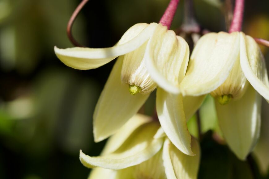 F_studio/shutterstock.com