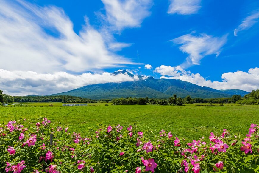 【全国旅行支援】2023年6月6日更新！6月以降の予約を開始する旅行予約サイトまとめ