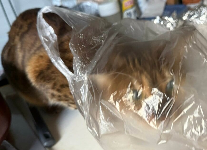 出所：@Beercat_Ana_Dar