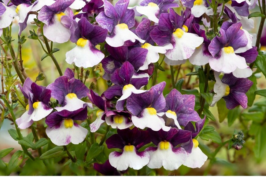 Tom Meaker/istockphoto.com