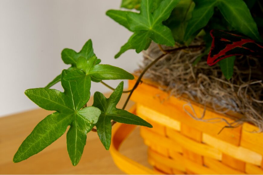 BT Images/shutterstock.com