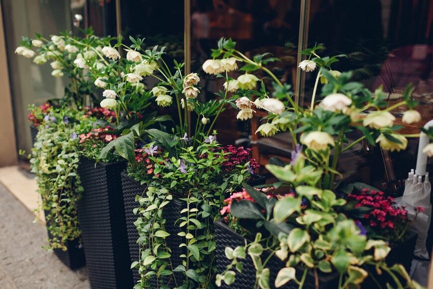 Mariia Boiko/Shutterstock.com