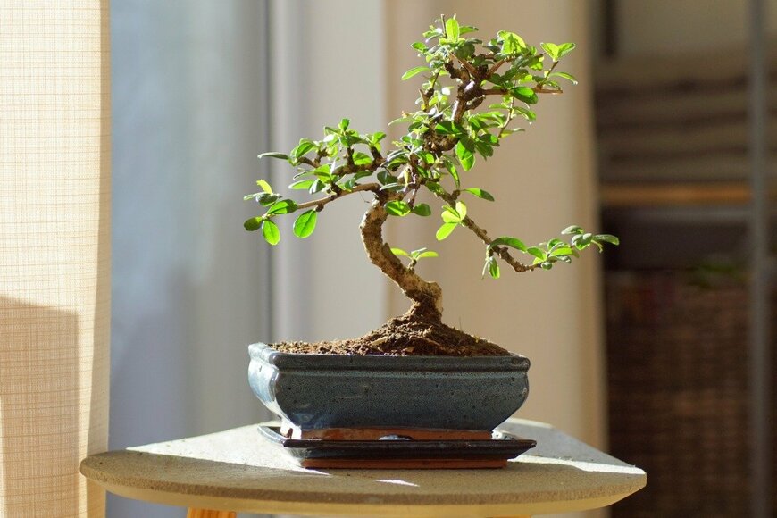 TG23/istockphoto.com