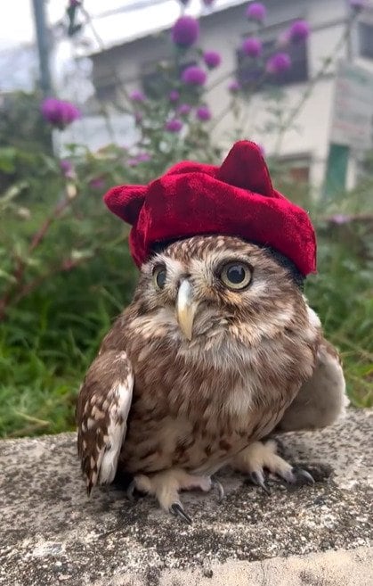 出所：@cr8673.hiro