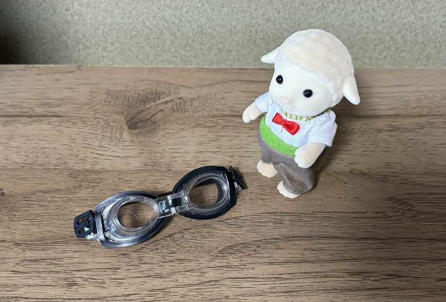 筆者撮影（セリア、ぬいぐるみ用ゴーグル）