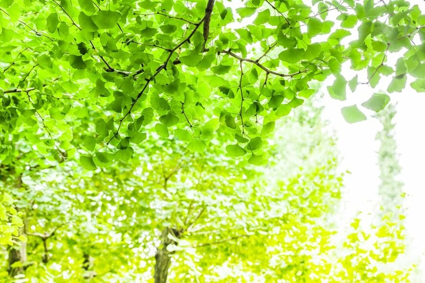taka1022/istockphoto.com