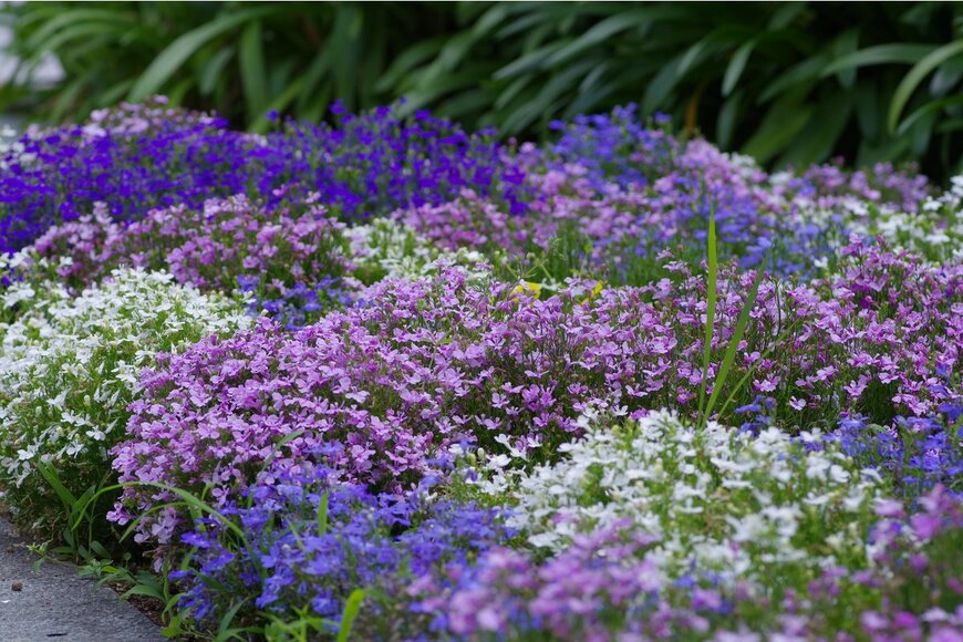 Honki Kumanyan/Shutterstock.com