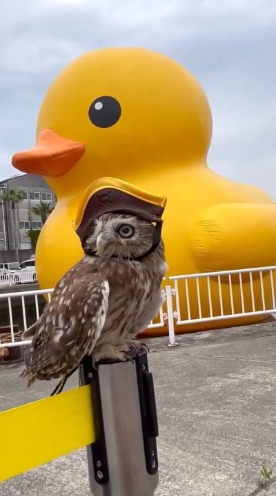 出所：@cr8673.hiro