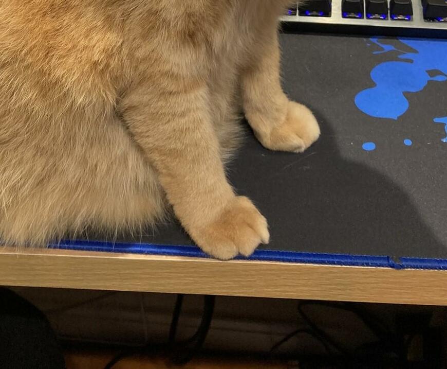 出所：@kagisuzu0531