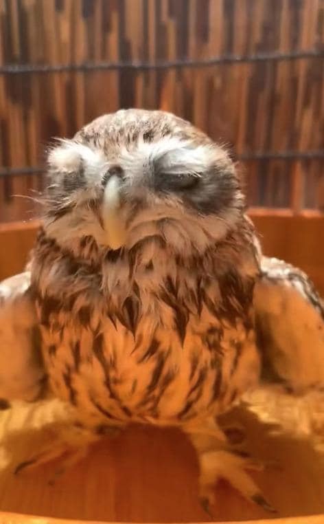 出所：@cr8673.hiro