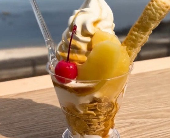 富山県の道の駅で味わう「雨晴サンデー」！絶景の海を見ながら食べるアイスに「めちゃうまい」「最高すぎる」