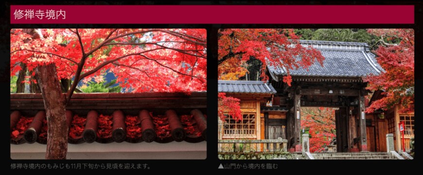出所：伊豆市観光協会修善寺支部 伊豆修善寺温泉 「修善寺 もみじ散策」