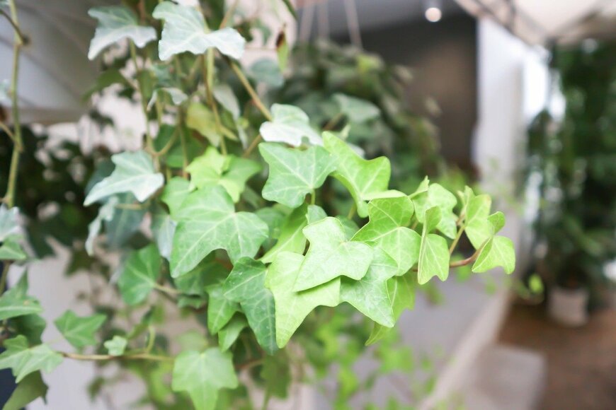 Jobrestful/istockphoto.com