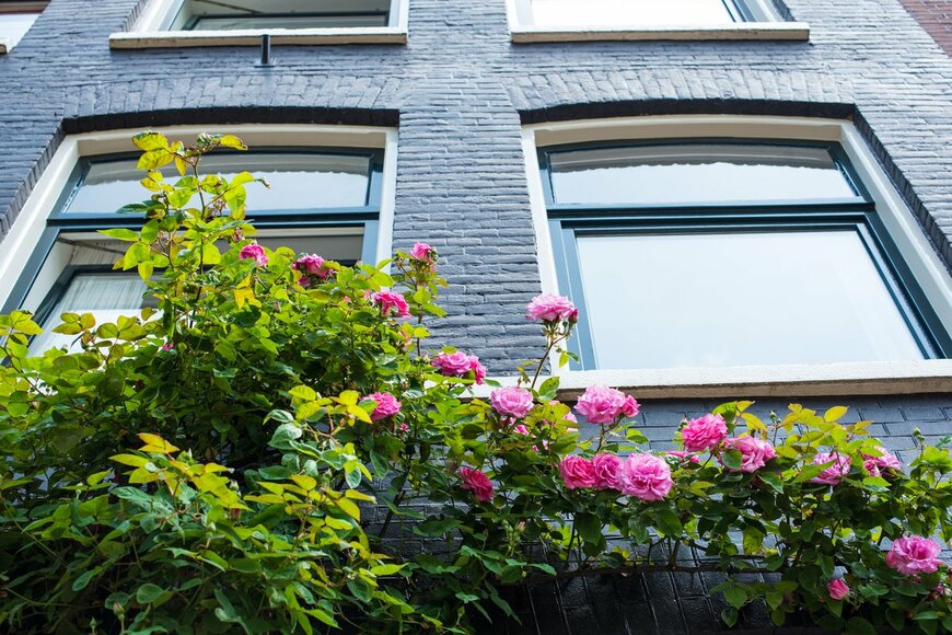 alenapetrachkova/Shutterstock.com