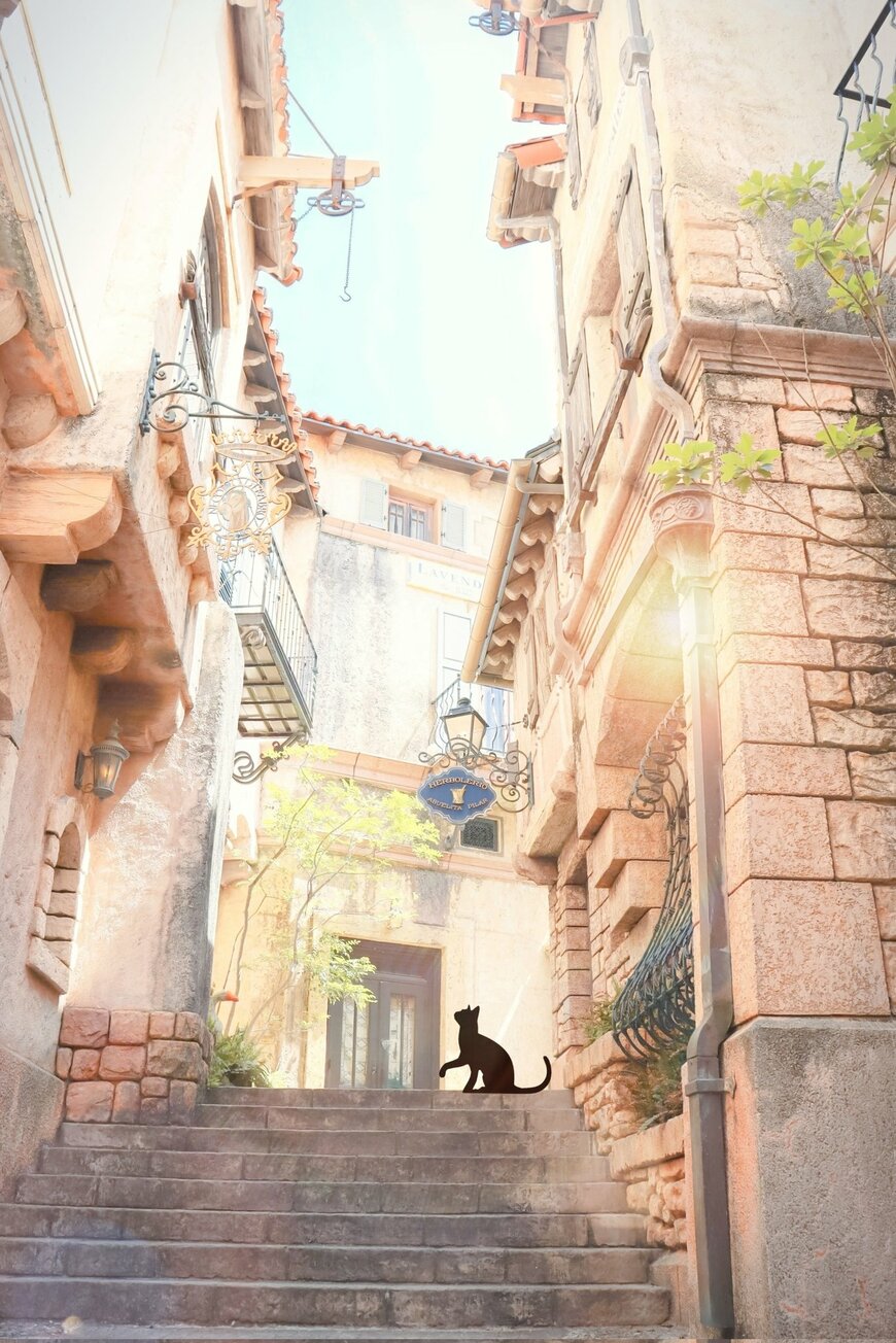 出所：@Sorani___Ao