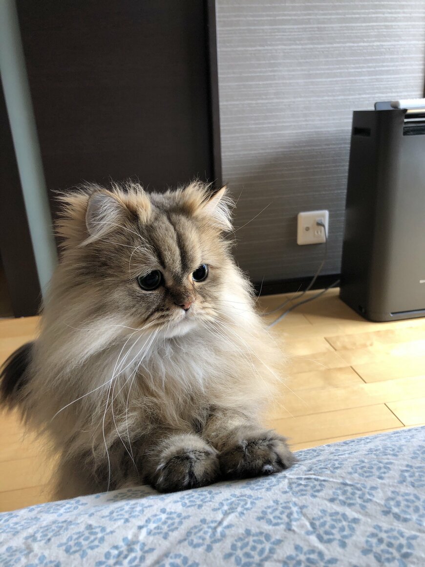 出所：@UphQepCv8J