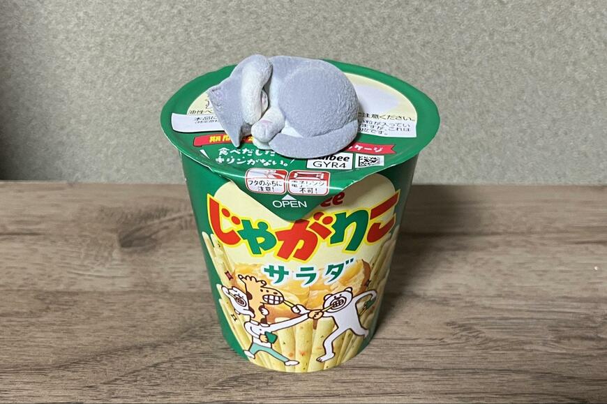 筆者撮影（タカラトミーアーツ、まぶしいにゃん）