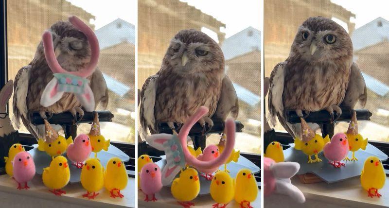 出所：@cr8673.hiro