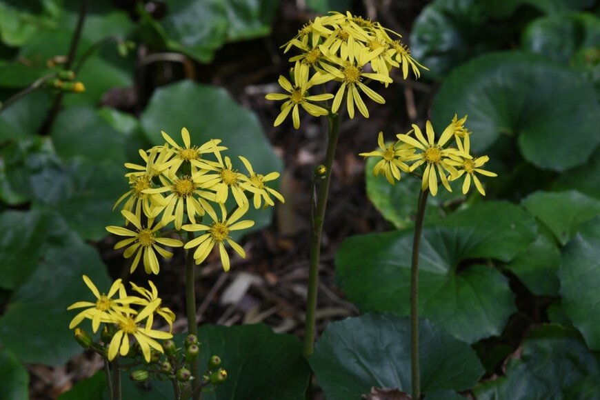 undefined undefined/istockphoto.com