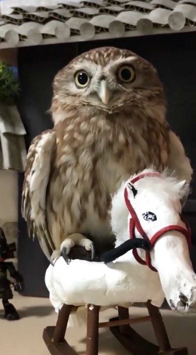 出所：@cr8673.hiro