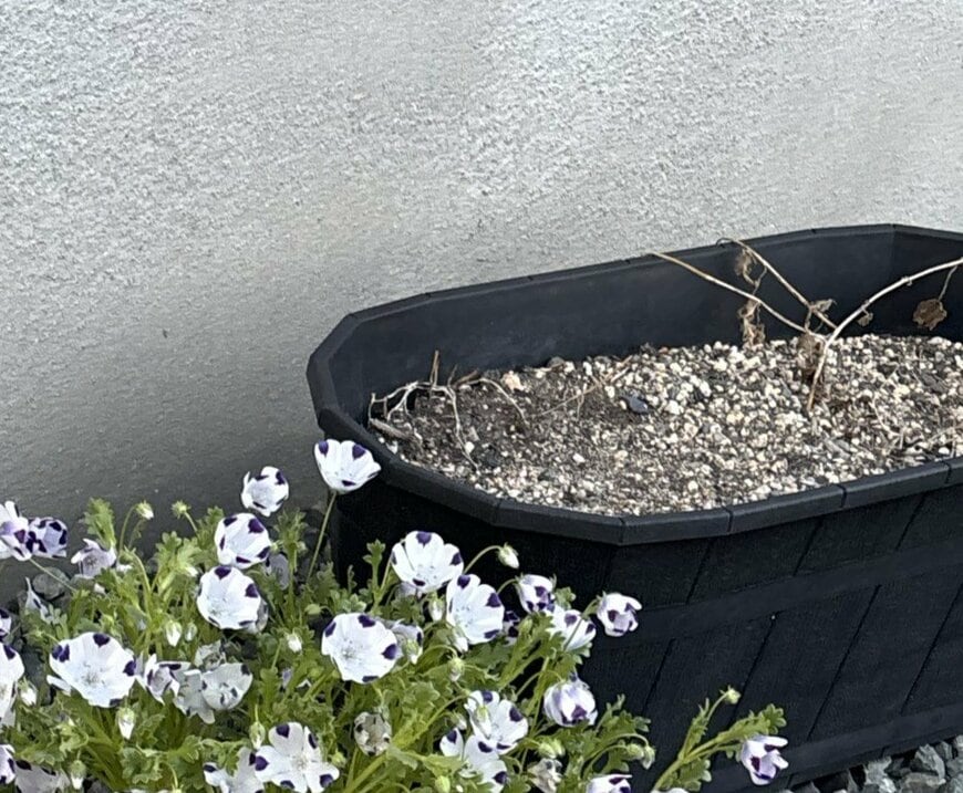 出所：@kagehana126