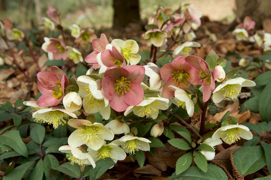 Billy_Fam/istockphoto.com